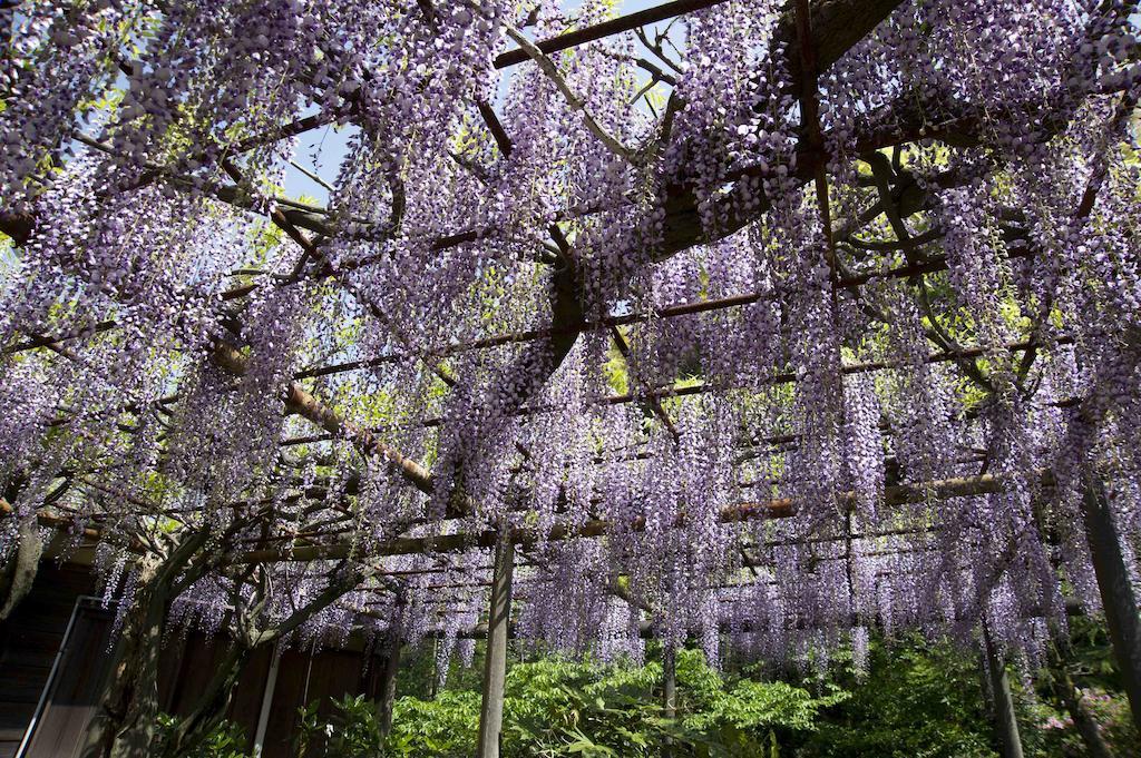 Izunokuni Hotel Nanzanso المظهر الخارجي الصورة